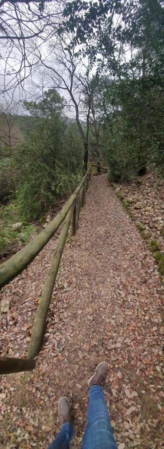 Rio Hereza Arroyo Frio Kültér fotó